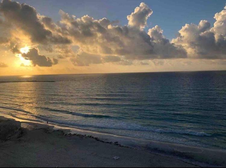 Studio Oceanfront Prime Location 坎昆 外观 照片